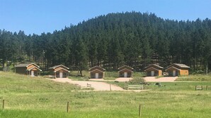 Une rangée de cabanes, avec une colline boisée en arrière-plan.