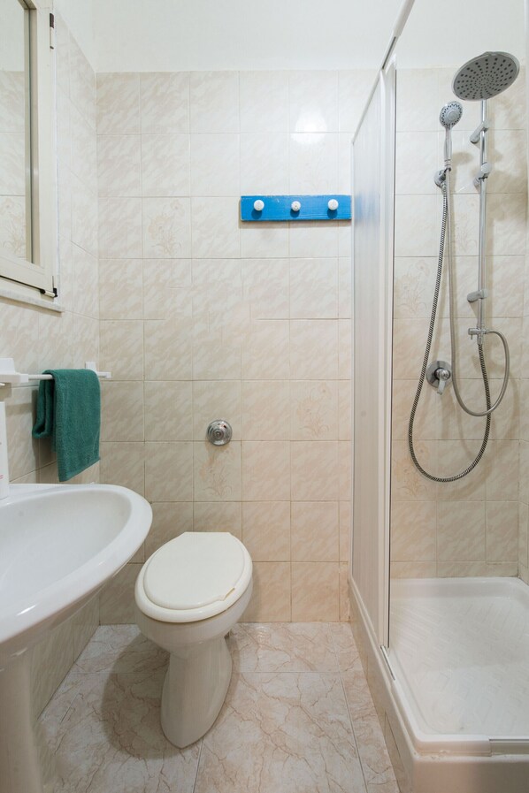 Shower, hair dryer, towels