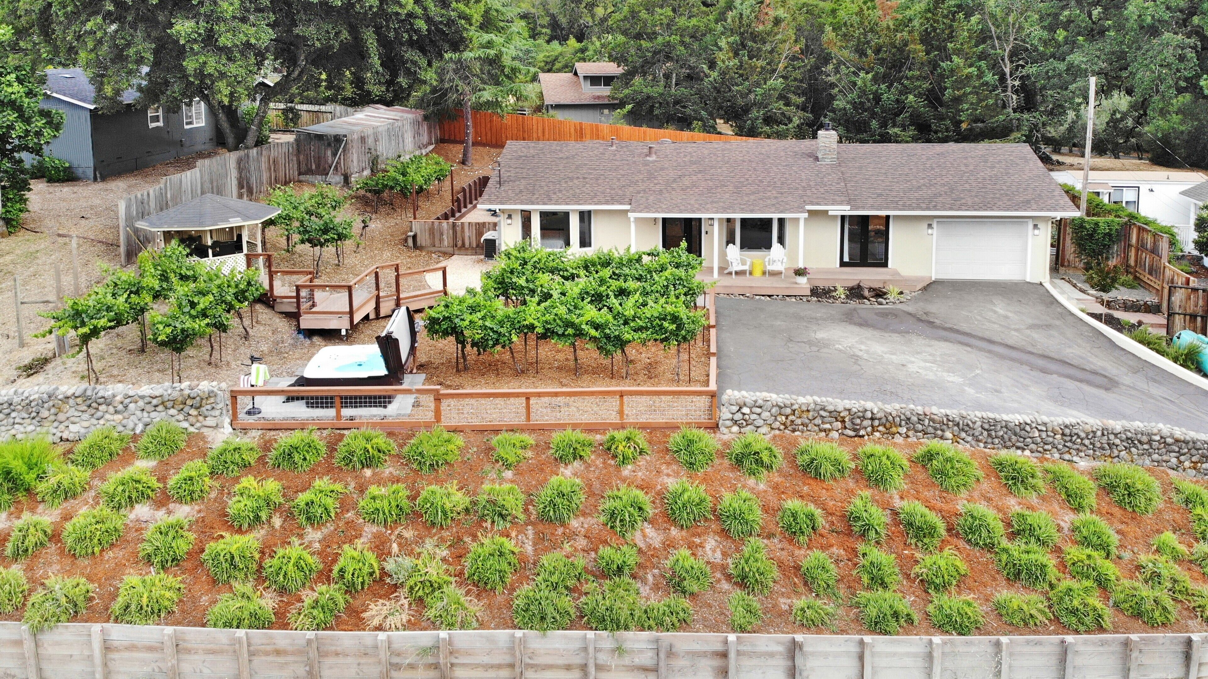 Beautiful Wine Country Views in Kenwood