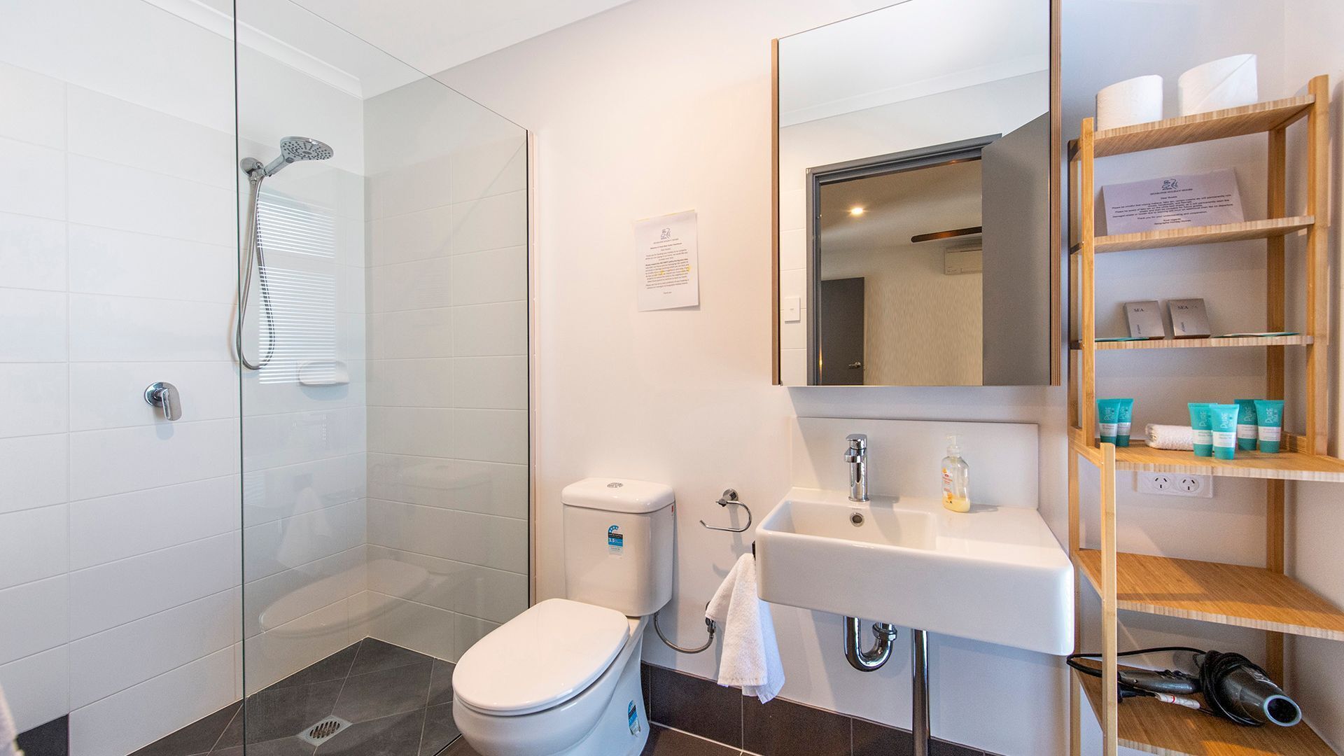 Shower, hair dryer, towels