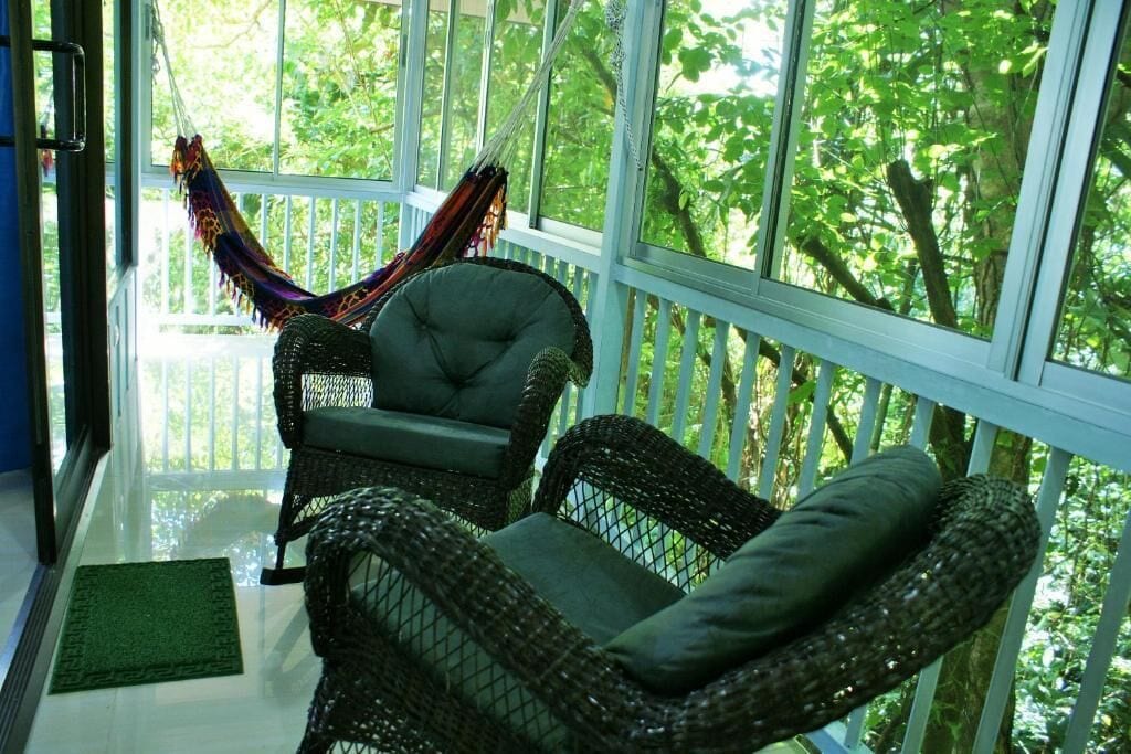 A wicker chair with a cushion, a hammock, and a view of trees through large windows.