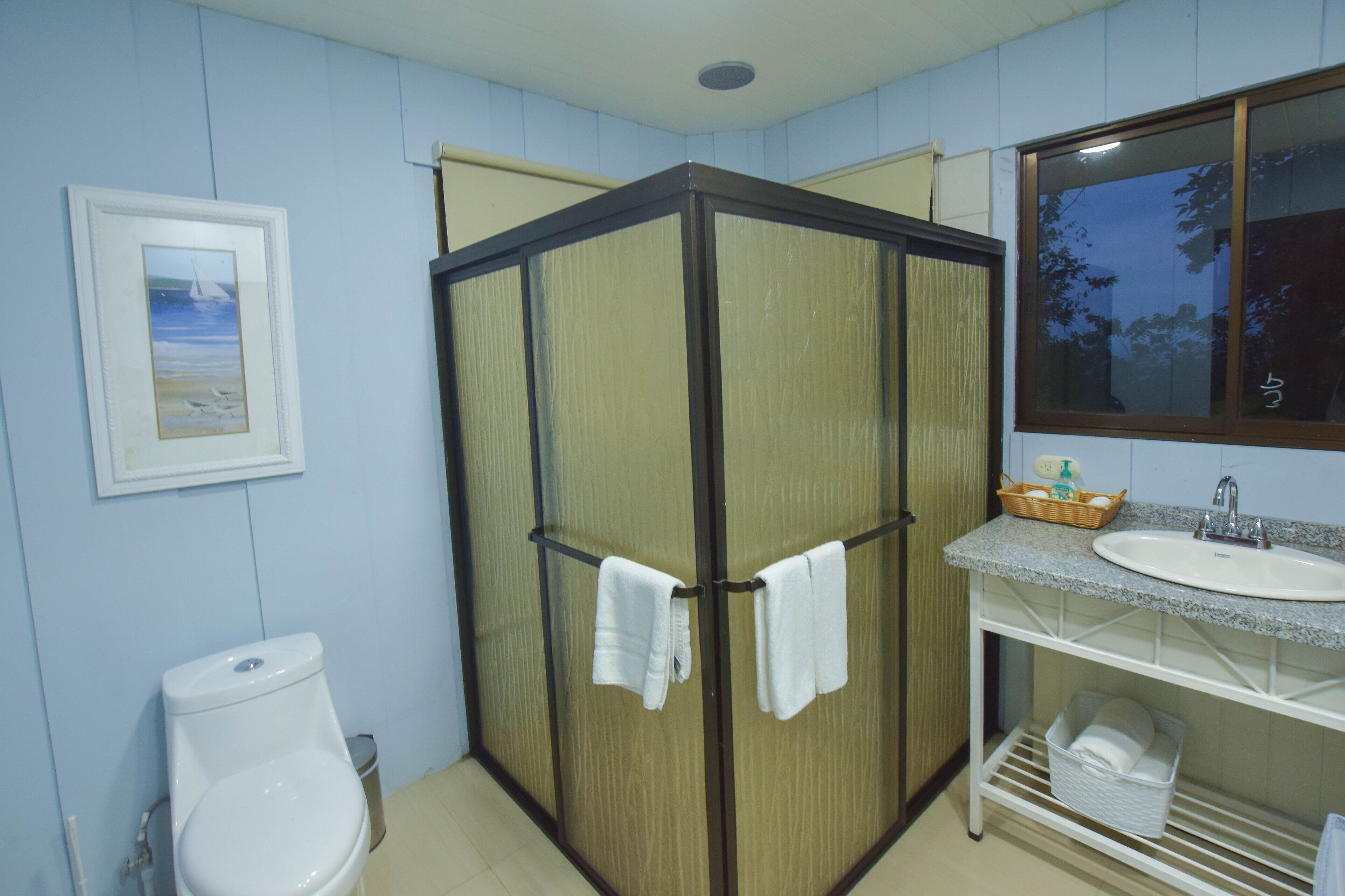 A bathroom with a shower enclosure, toilet, sink, and a framed picture on the wall.