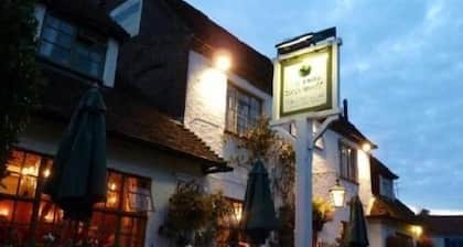 The Frog at Skirmett