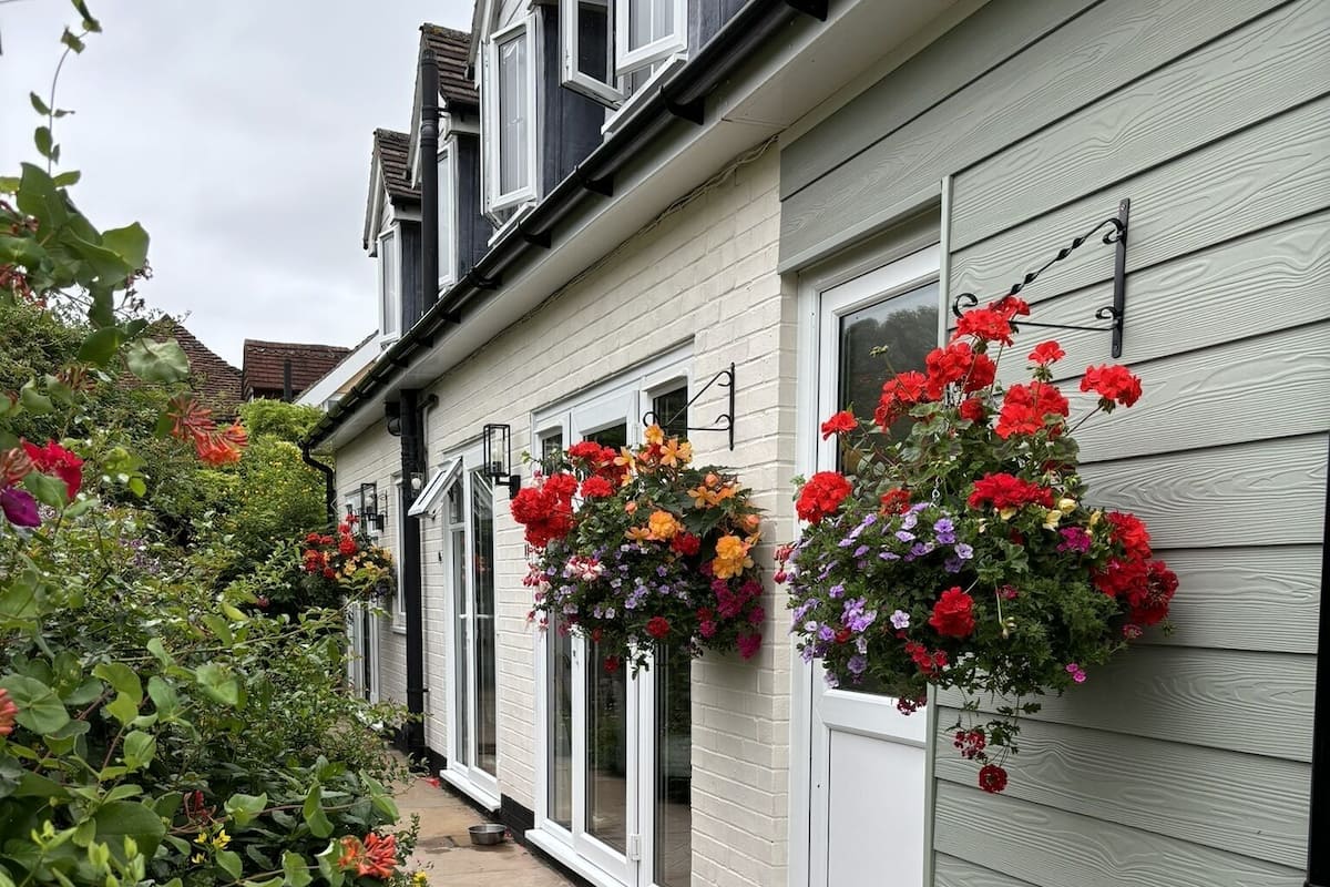 A row of white-framed windows with hanging flower baskets.