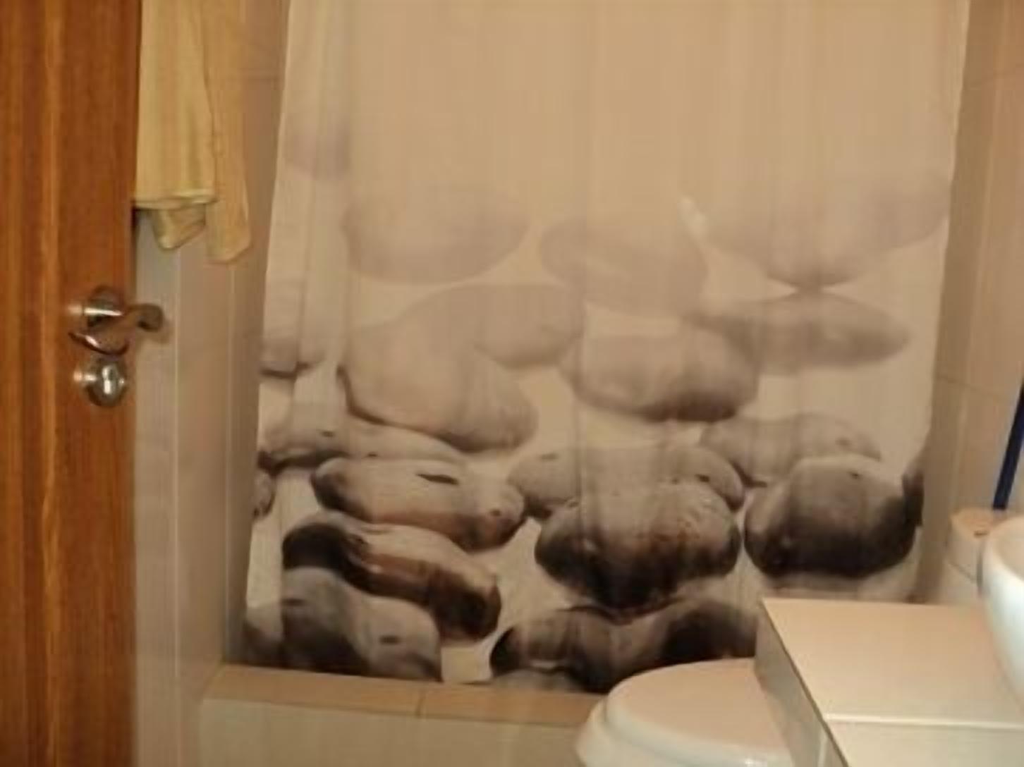A bathroom with a shower curtain featuring a bear print, a toilet, and a wooden door.