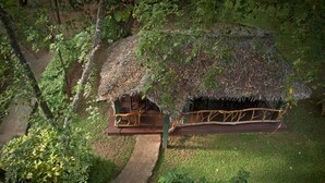 A thatched-roof hut with a wooden porch, surrounded by lush greenery. - Pelwehera Village Resort (Dambulla)