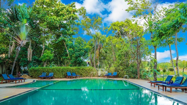 A swimming pool with blue lounge chairs and lush greenery around. - Pelwehera Village Resort (Dambulla)