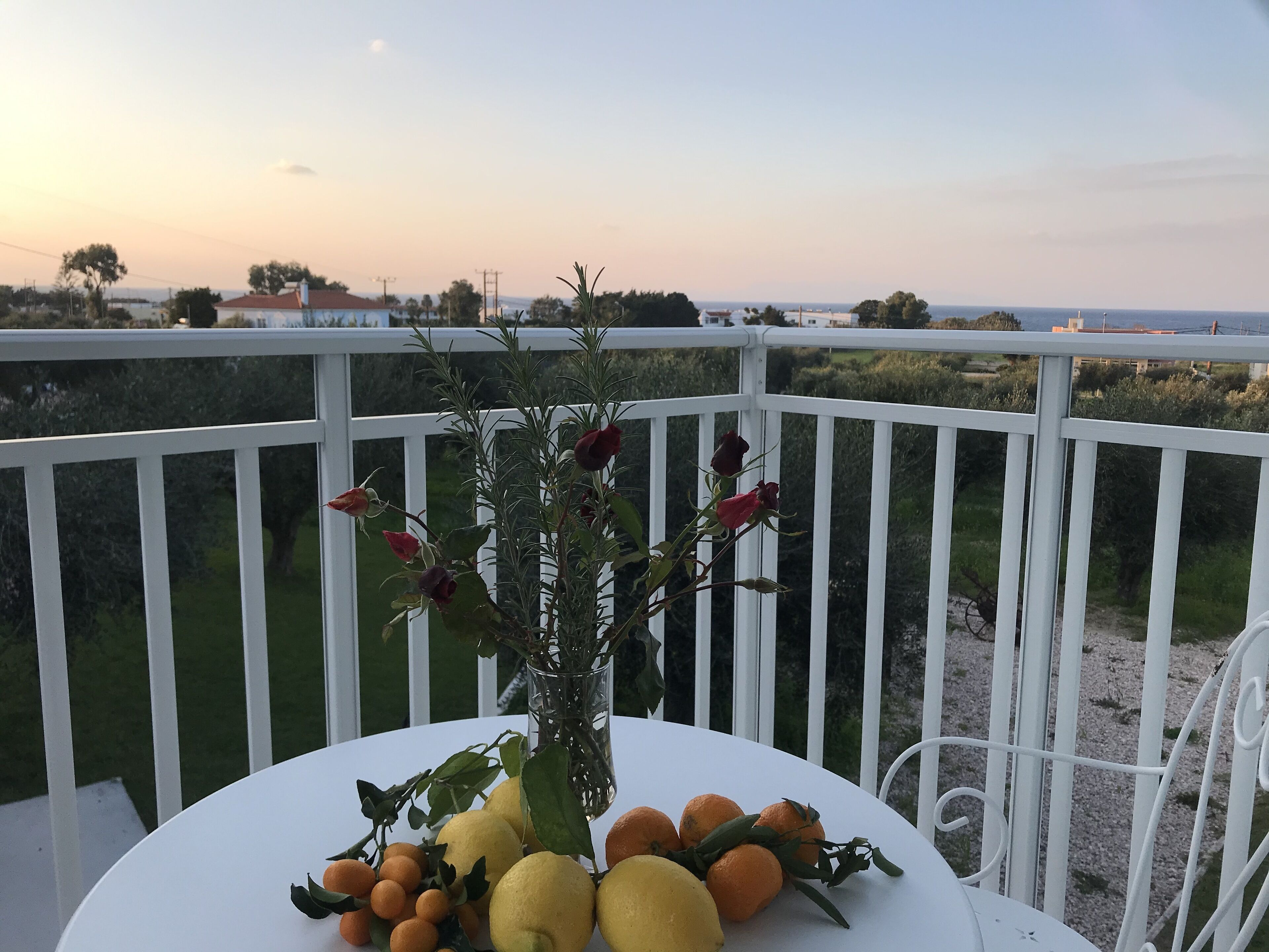 A table with a vase of flowers and citrus fruits on a balcony with a white railing, overlooking a landscape with greenery and buildings in the distance.