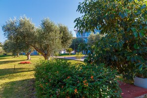 บริเวณที่พัก