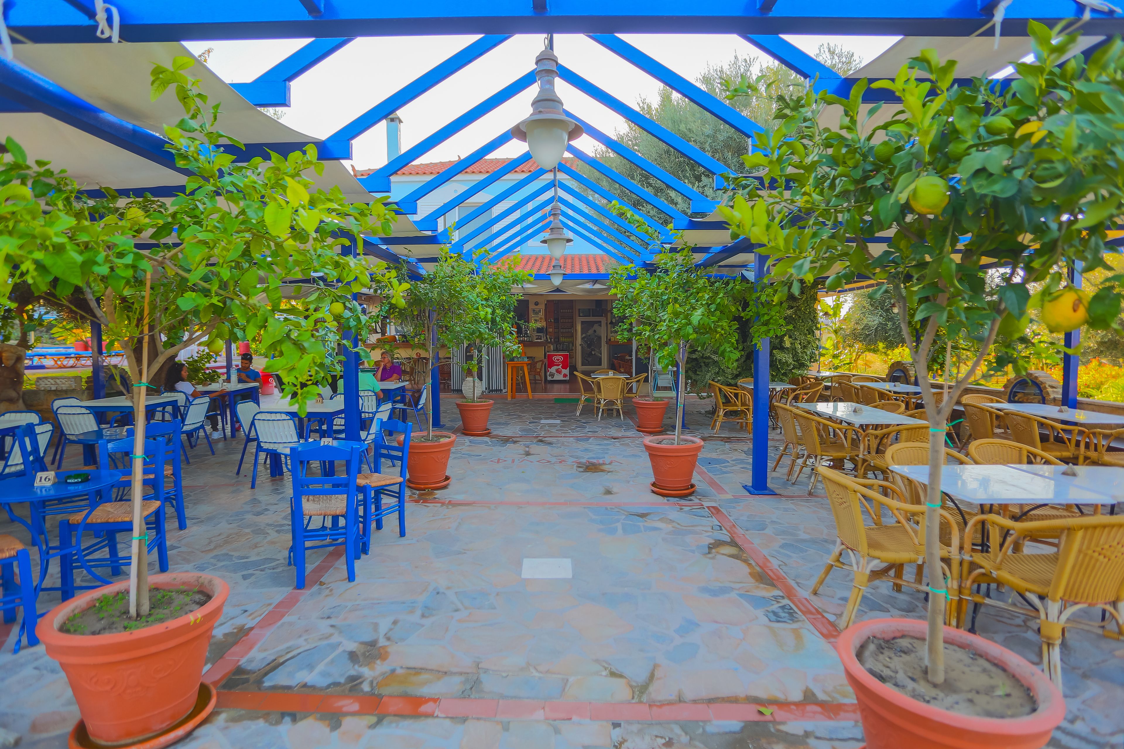 An outdoor café with blue and yellow chairs, potted plants, and a tiled floor.