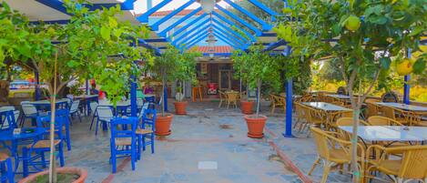 An outdoor café with blue and yellow chairs, potted plants, and a tiled floor.