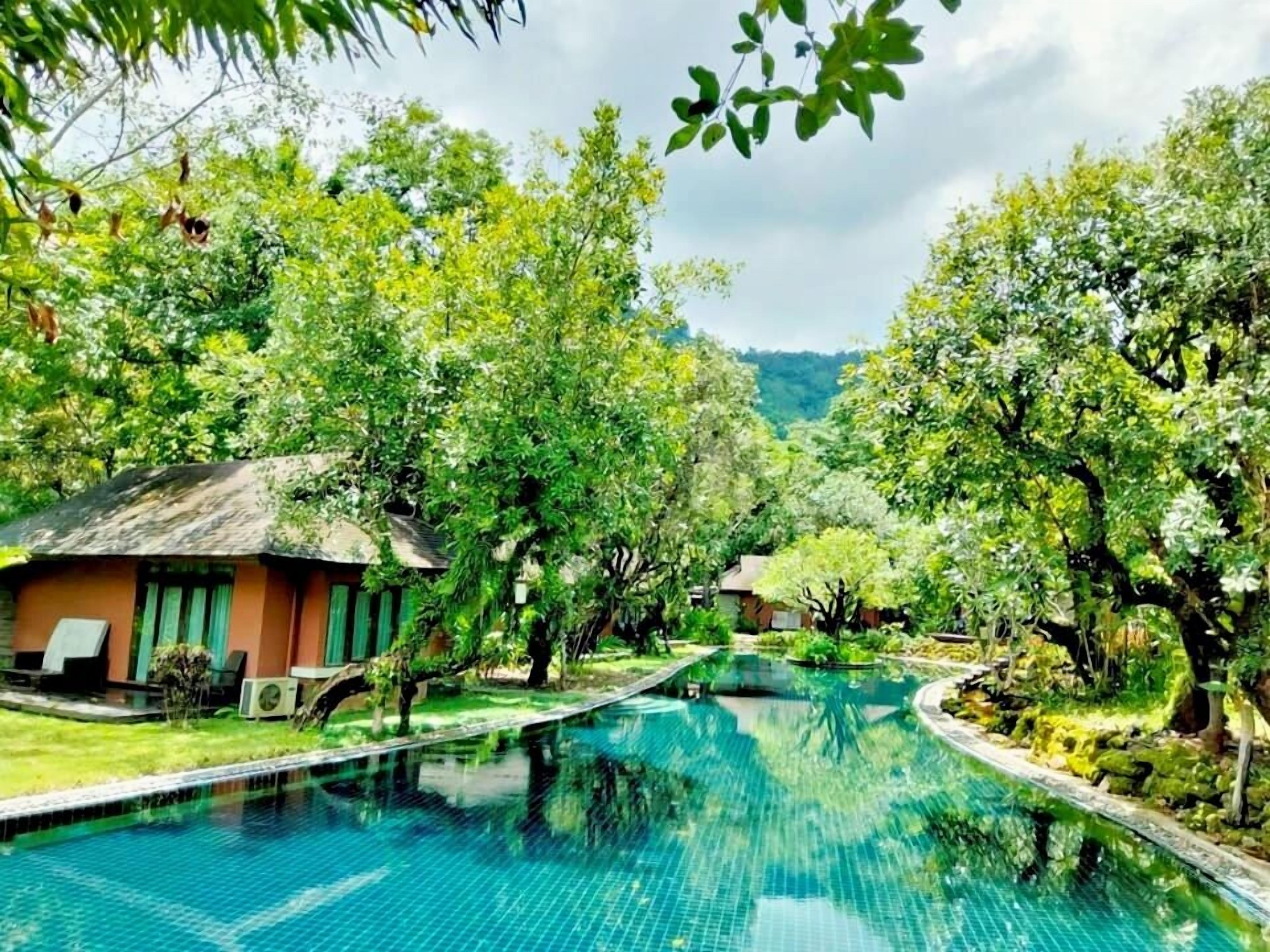 outdoor pool, pool umbrellas, pool loungers