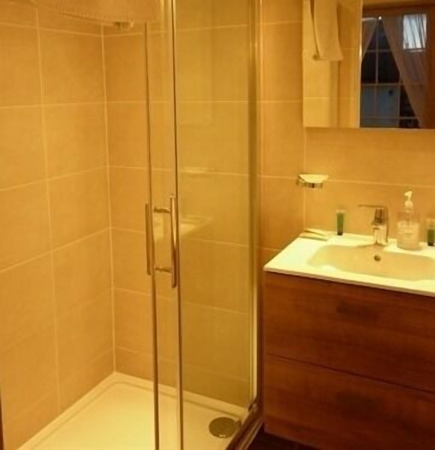 A bathroom with a glass shower enclosure, a sink with toiletries, and a mirror above the mirror.