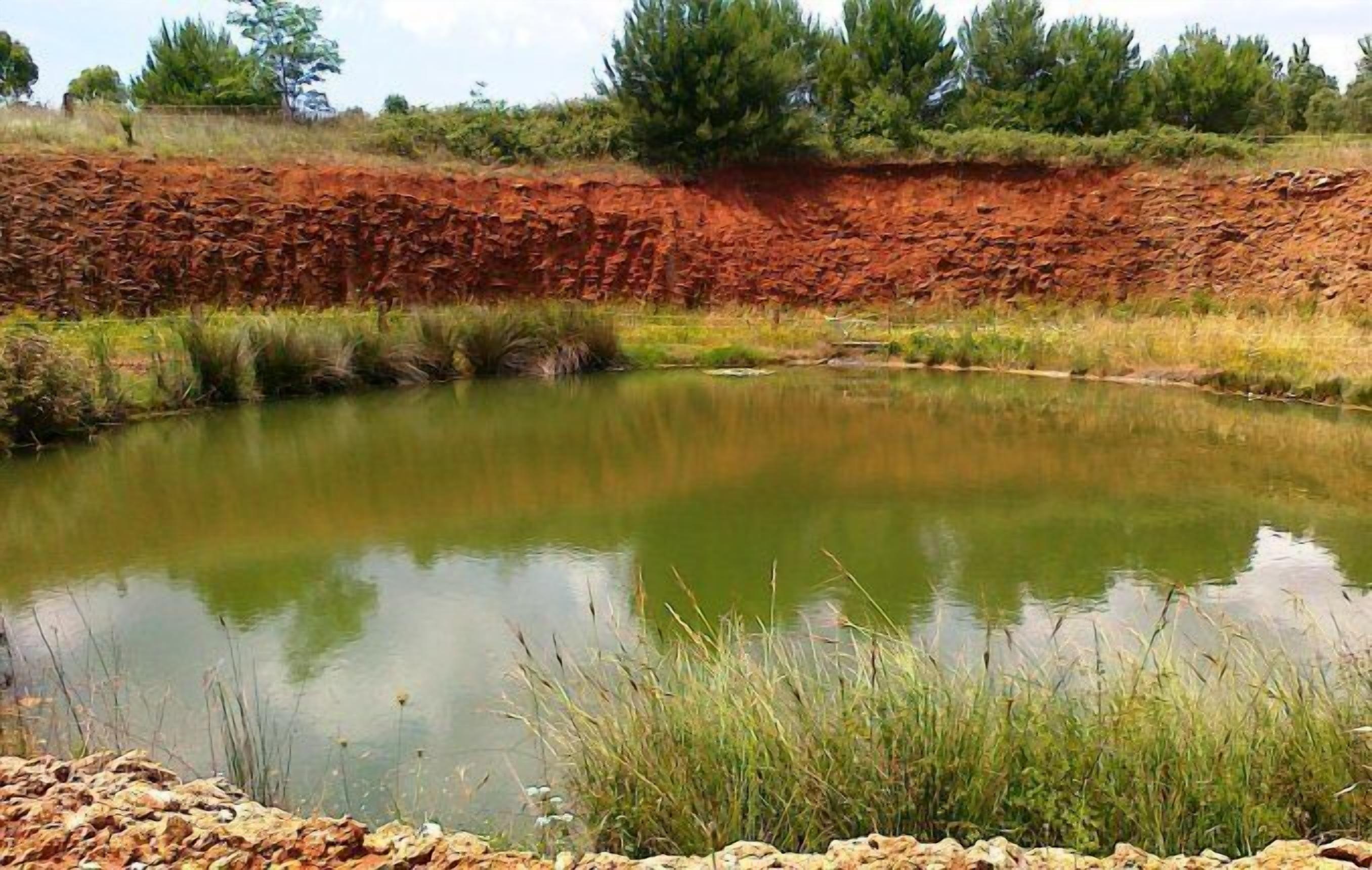 A natural landscape with a pond surrounded by grass and trees.