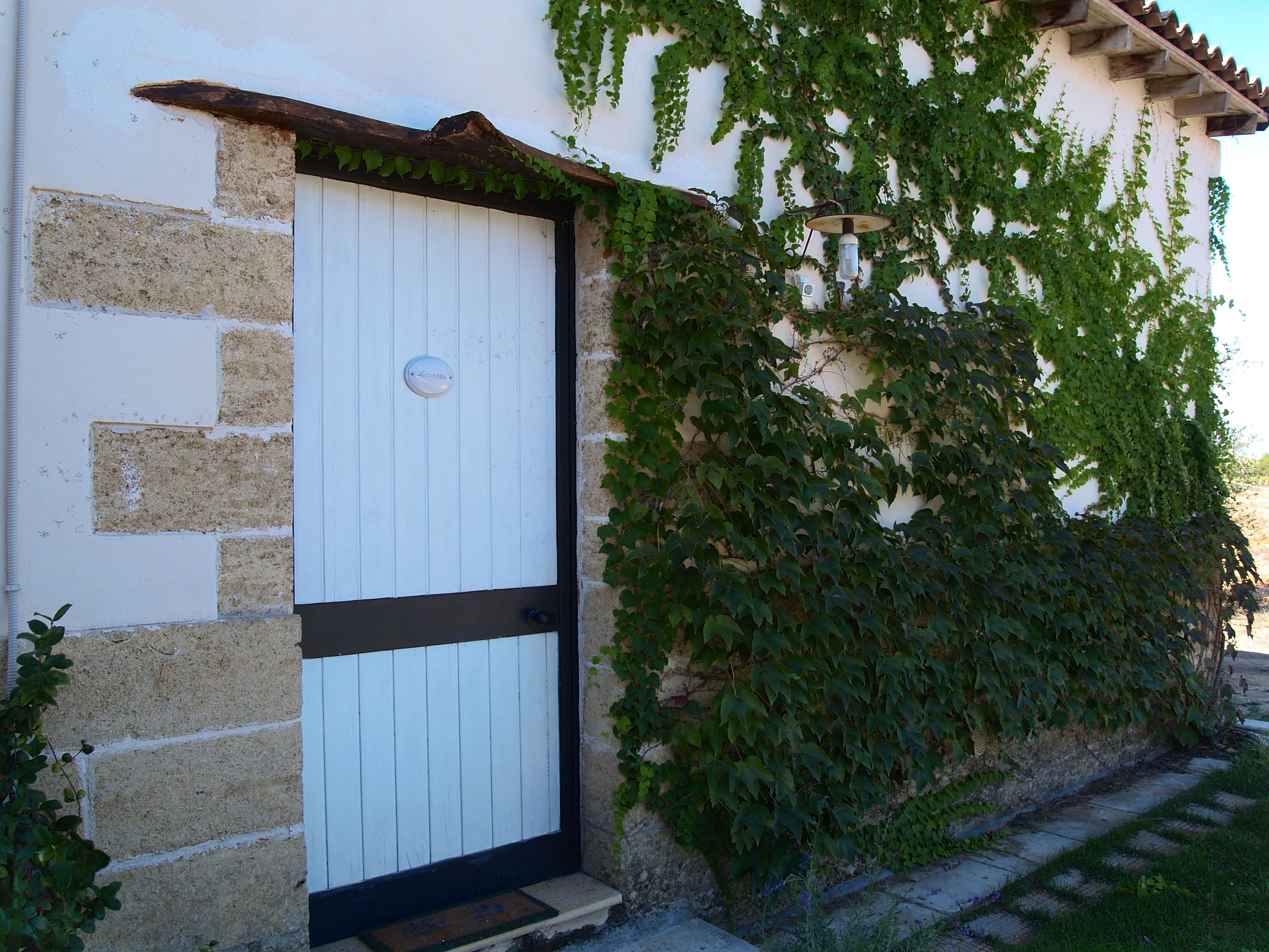 Una porta bianca con stipite nero, una piccola targa e un gradino che conduce alla porta.
