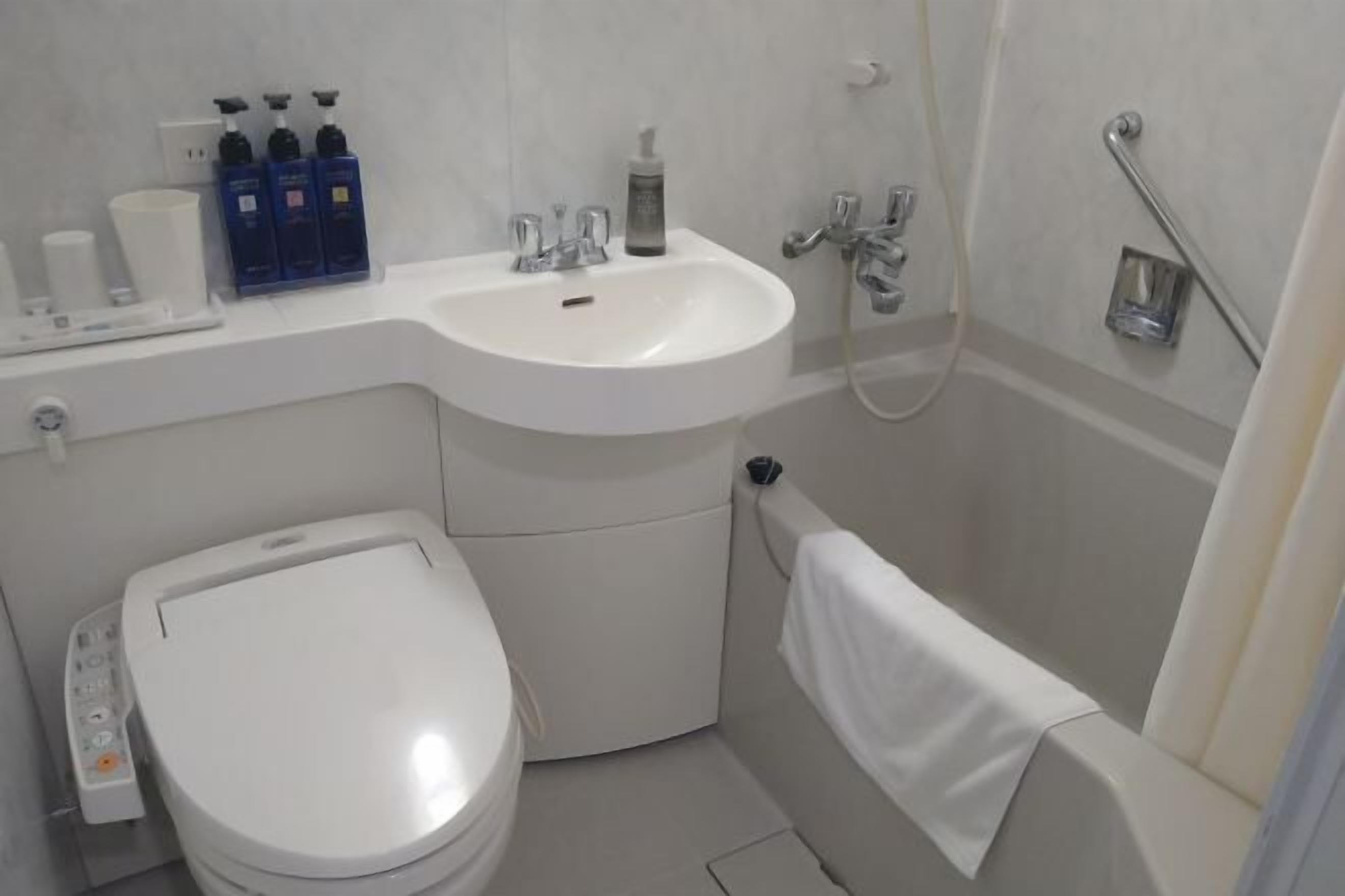 Combined shower/bathtub, hair dryer, slippers, electronic bidet