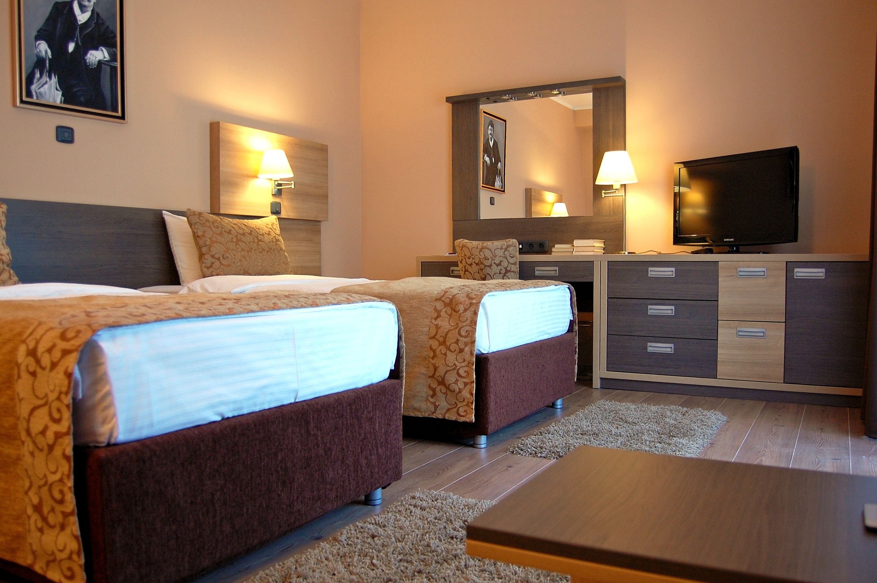 classic twin room, 1 bedroom, smoking, park view | minibar, in-room safe, desk, iron/ironing board