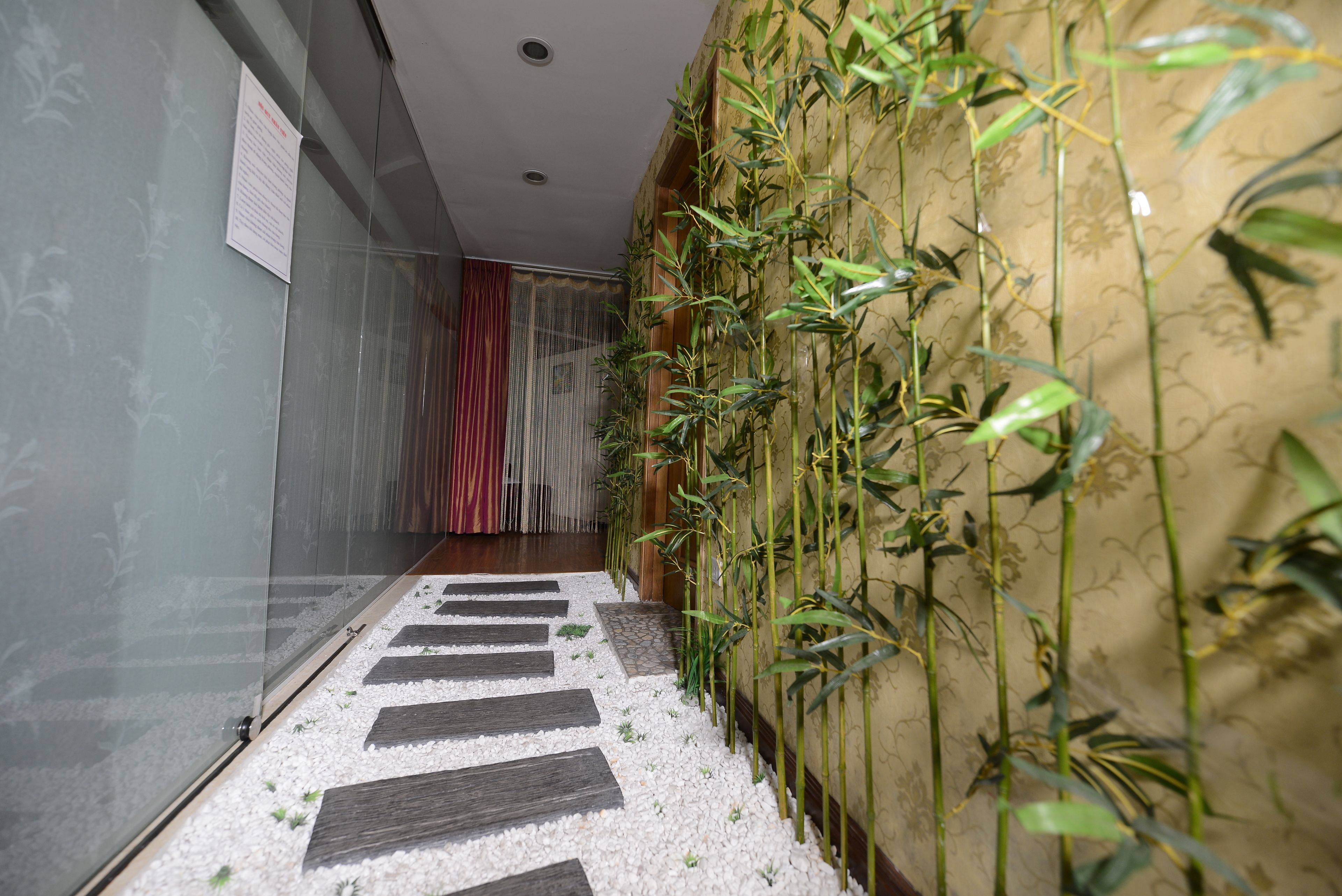 A hallway with a patterned floor, glass walls, and bamboo plants.