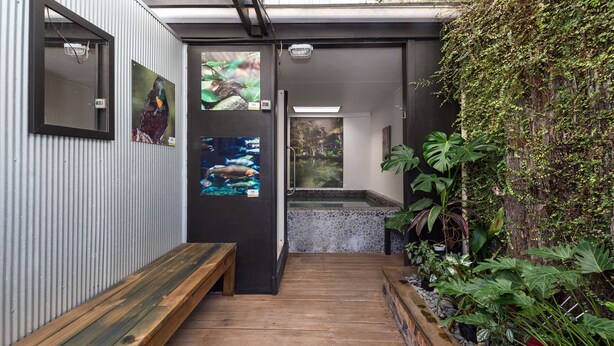A wooden bench, a wall-mounted picture, a fish tank, and a planter with greenery. - Red Rock Thermal Motel (Rotorua)