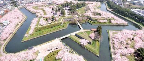 Vista aérea de un paisaje urbano con un parque que presenta un río y flores de cerezo.