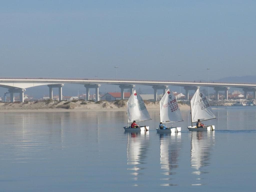 Three sailboats on calm water with a bridge in the background.