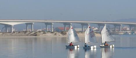 Three sailboats on calm water with a bridge in the background.