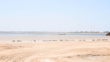 PĂ„ stranden, solstolar, parasoller och strandhanddukar