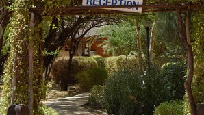 Un camino conduce a una zona de recepción de bar, rodeada de abundante vegetación y un arco de madera rústica.