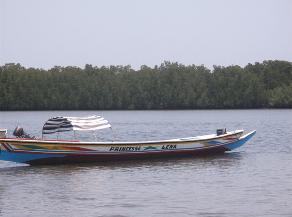 A boat with the name "PRINCESSE LENA" on a calm body of water. - Les Cordons Bleus (Fatick)