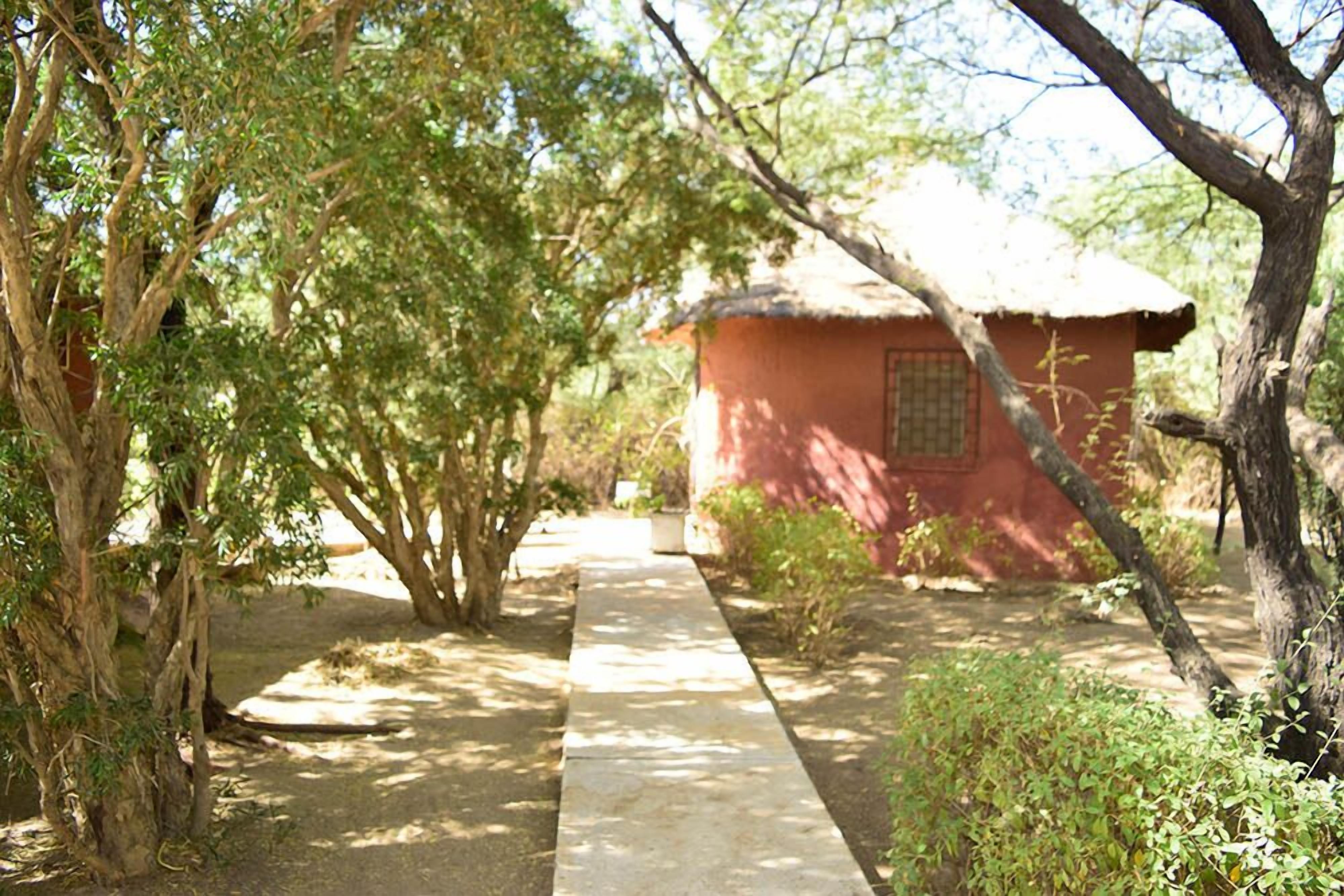A pathway leading to a small building with a thatched roof, surrounded by trees and greenery.