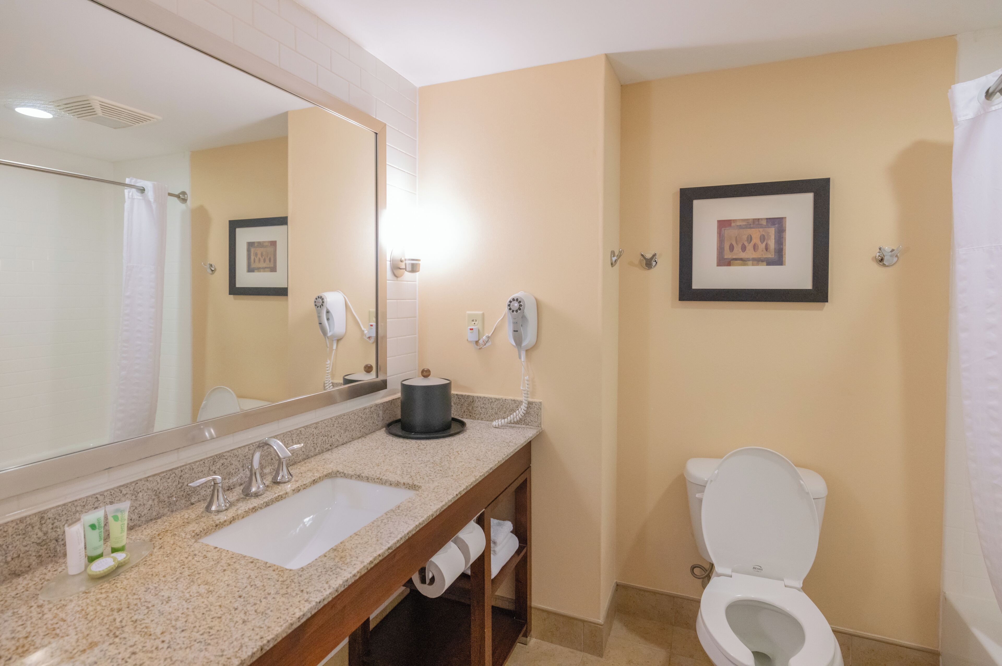 A bathroom with a sink, mirror, toilet, and a framed picture on the wall.