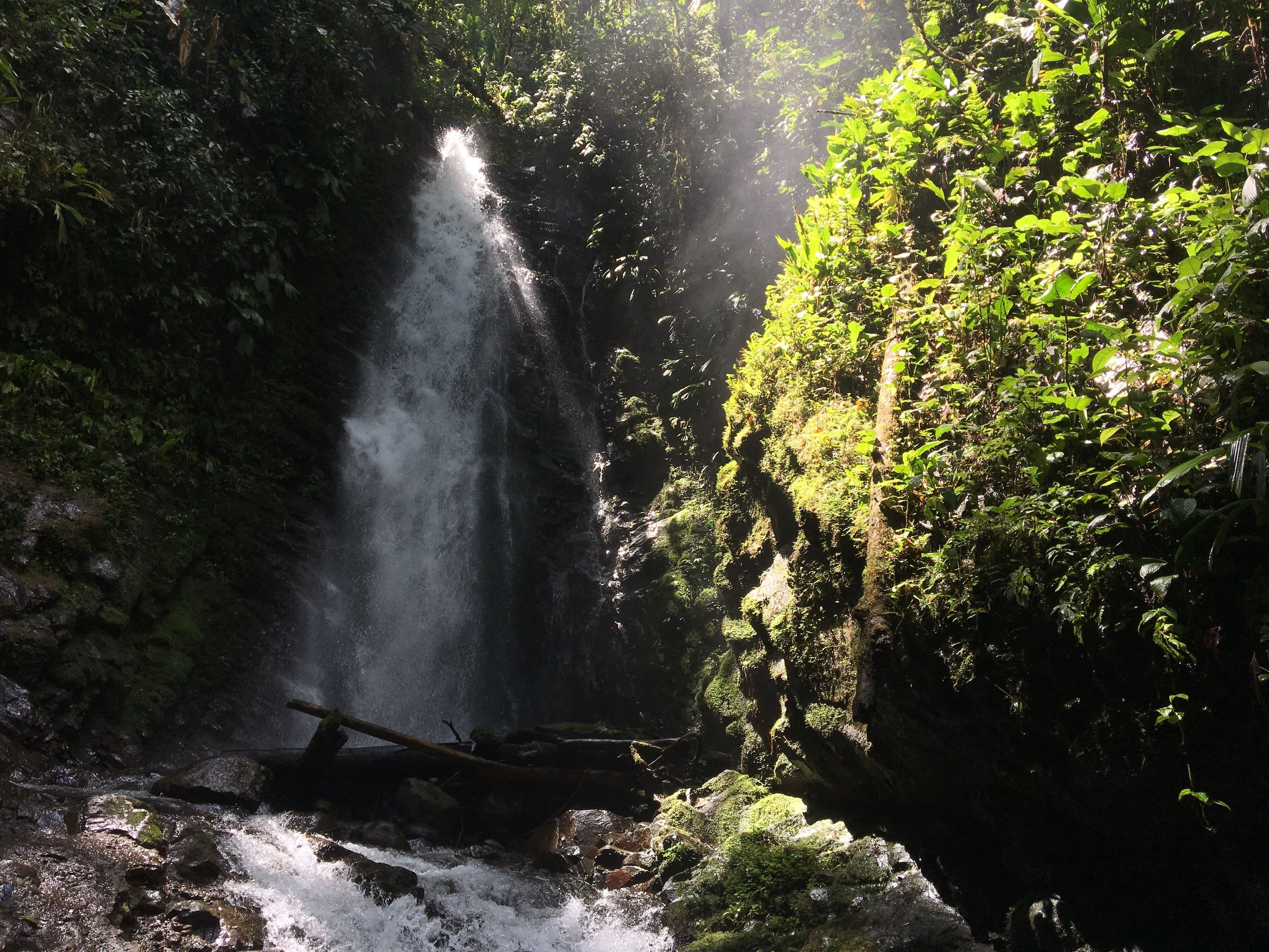 Photo - Casa Divina Eco Lodge