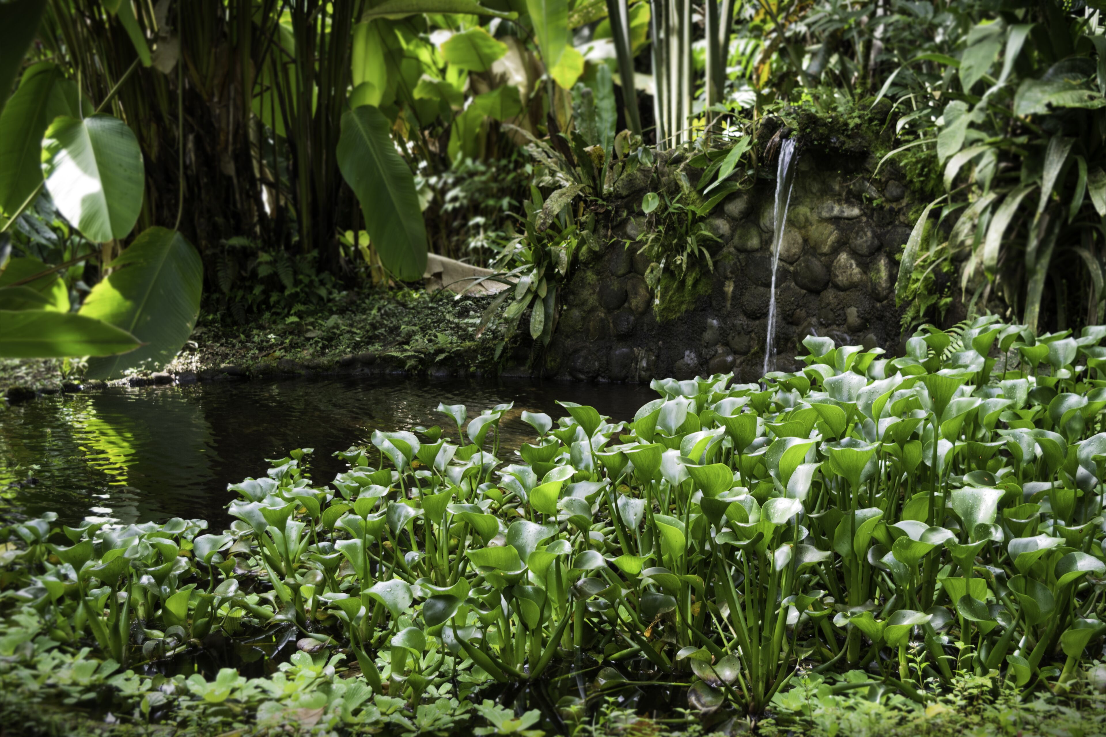 Photo - Casa Divina Eco Lodge