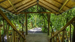 A covered wooden structure with a concrete path leading through a lush green forest. - Casa Divina Eco Lodge (Mindo)