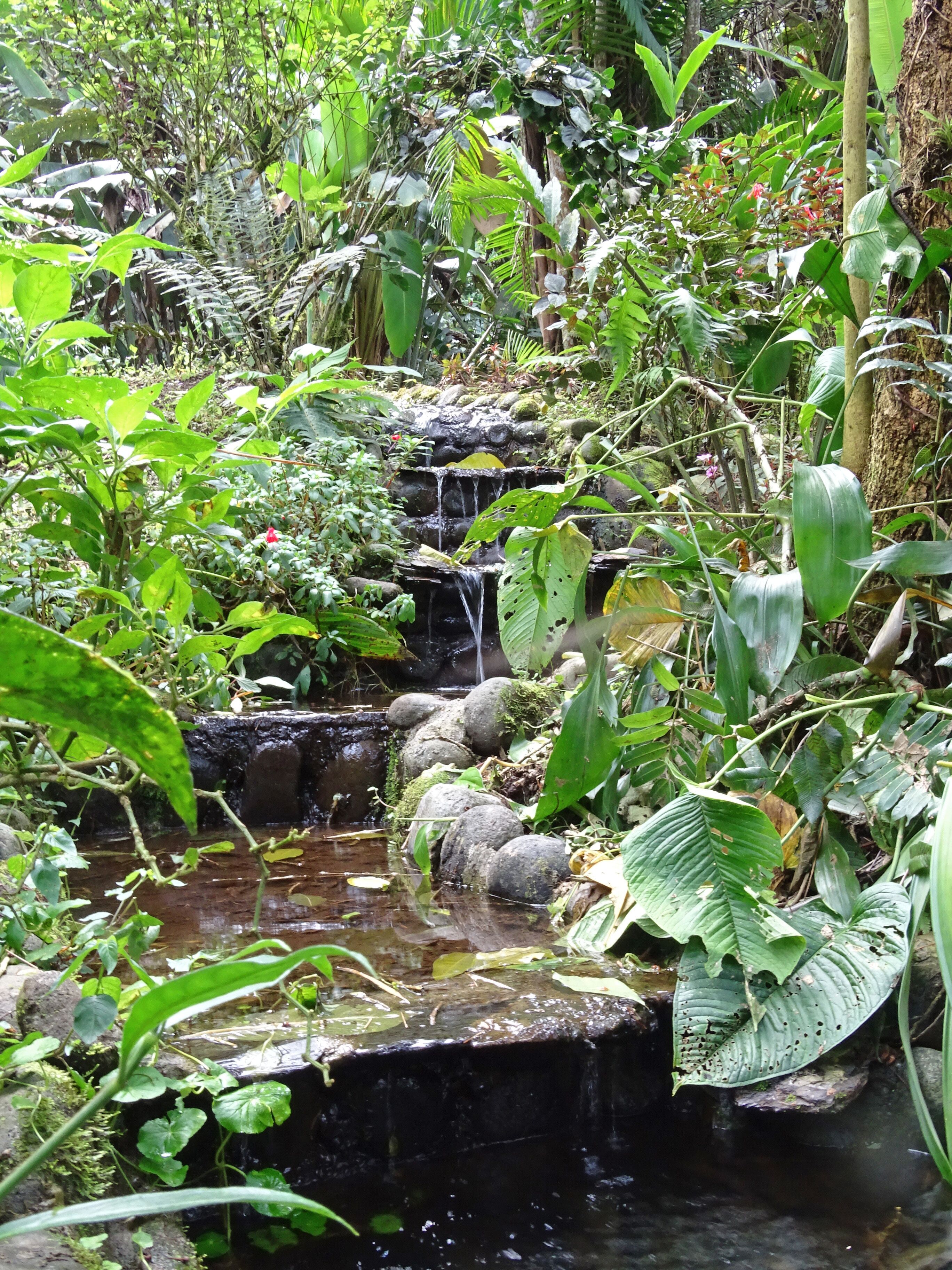 Photo - Casa Divina Eco Lodge