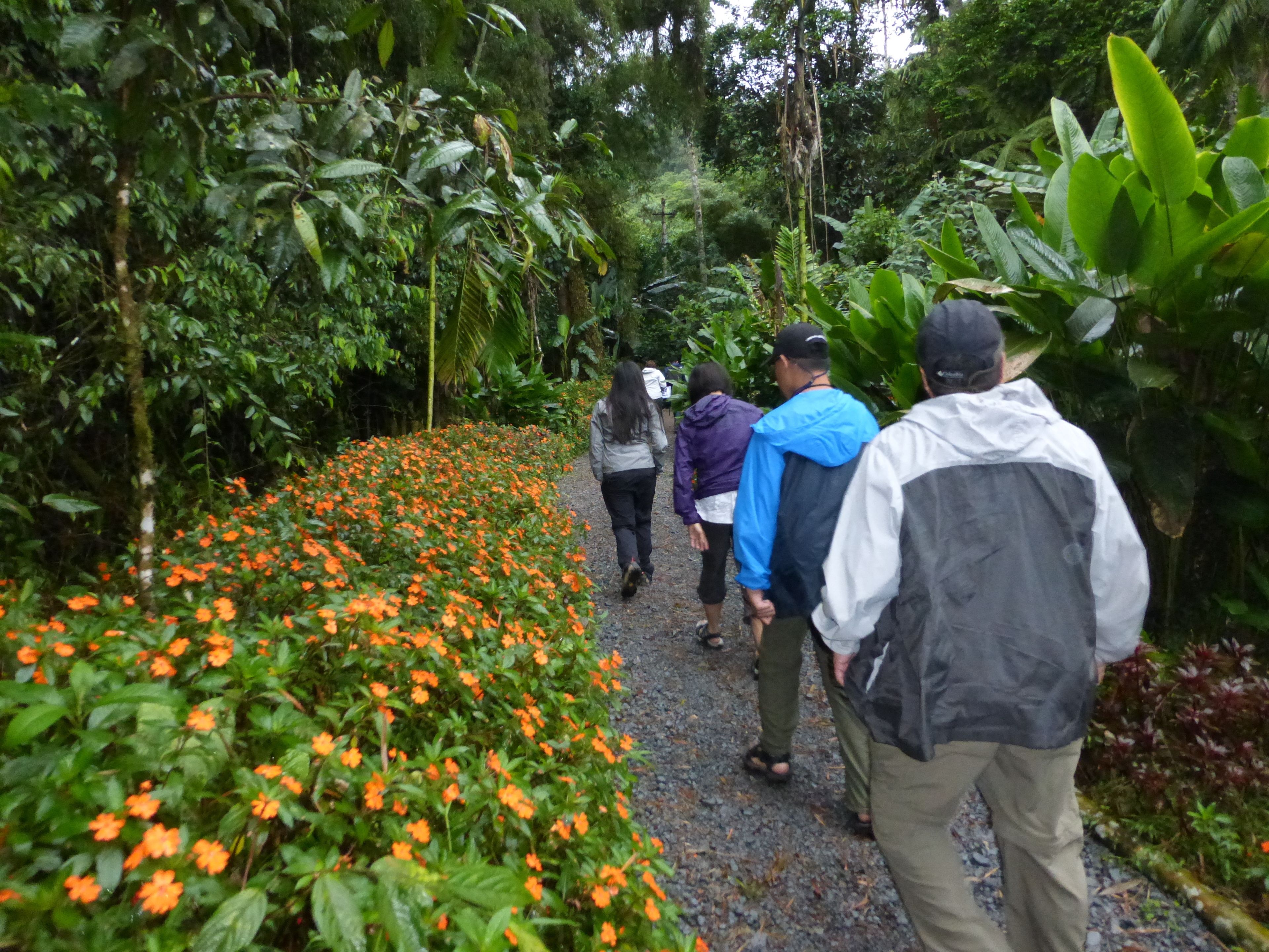 A pathway through a lush garden with orange flowers and dense greenery.