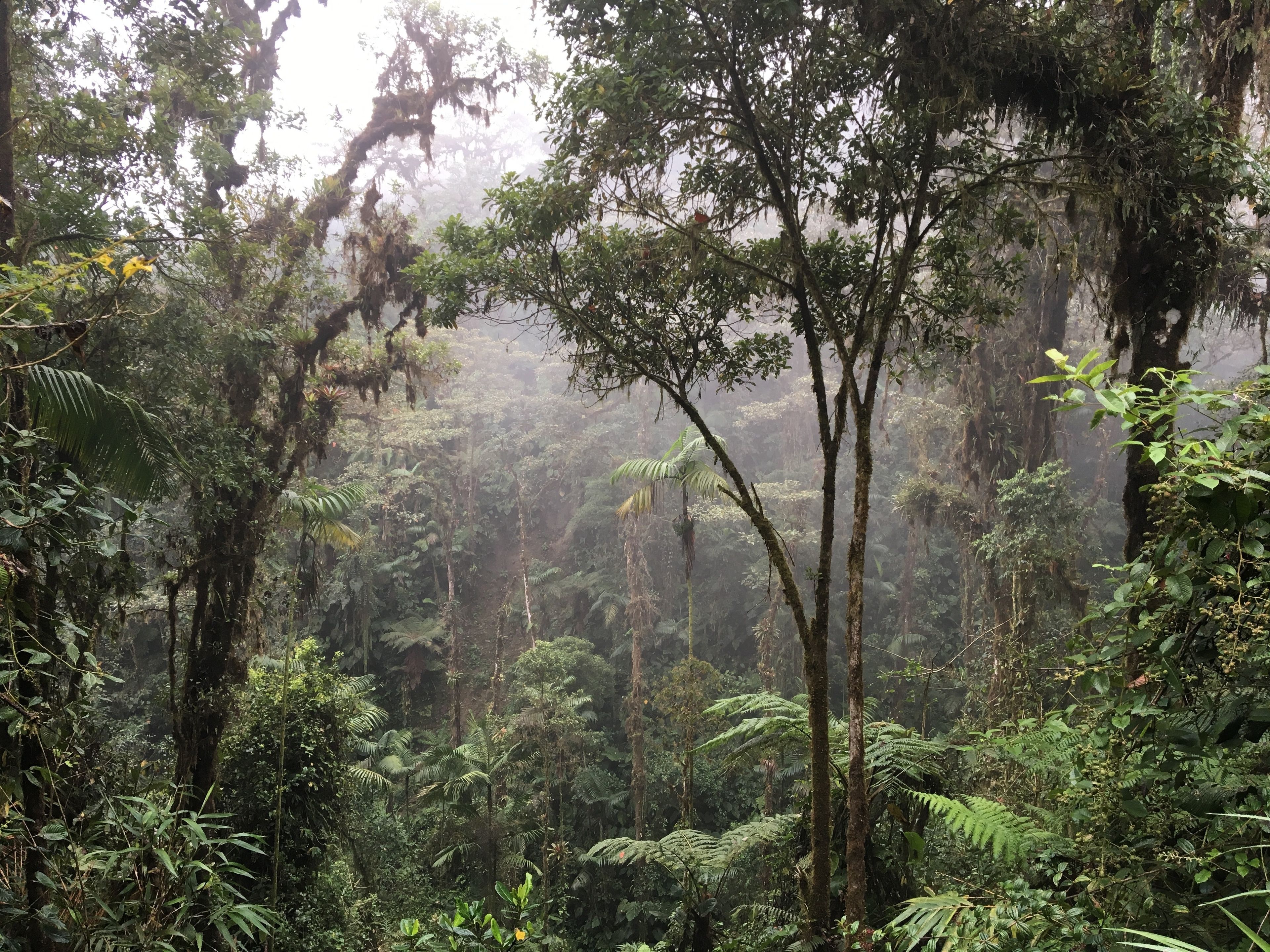 Photo - Casa Divina Eco Lodge