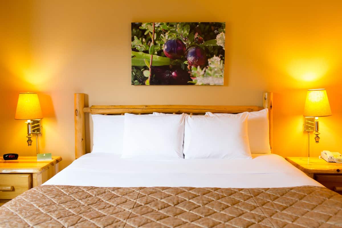 Een hotelkamer met een bed, twee nachtkastjes, twee lampen, een klok en een schilderij aan de muur.