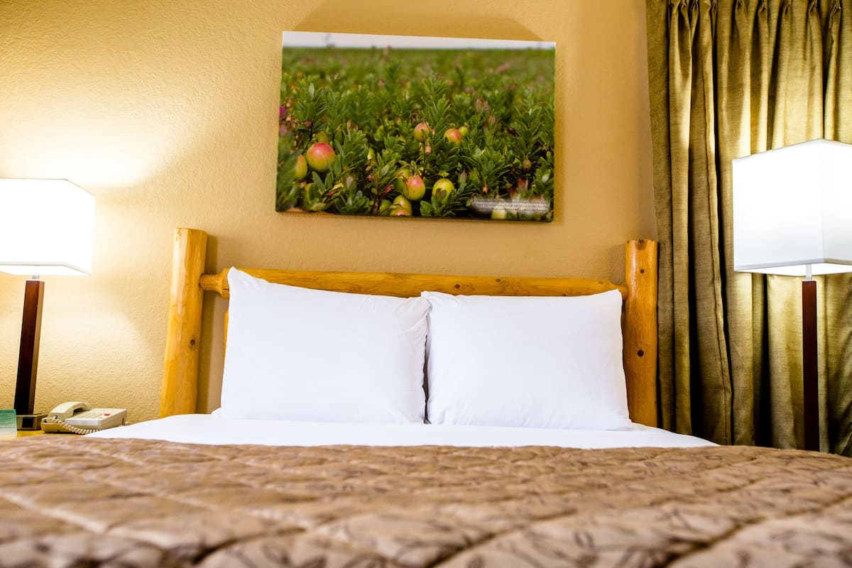 desk, iron/ironing board, cots/infant beds, free wifi