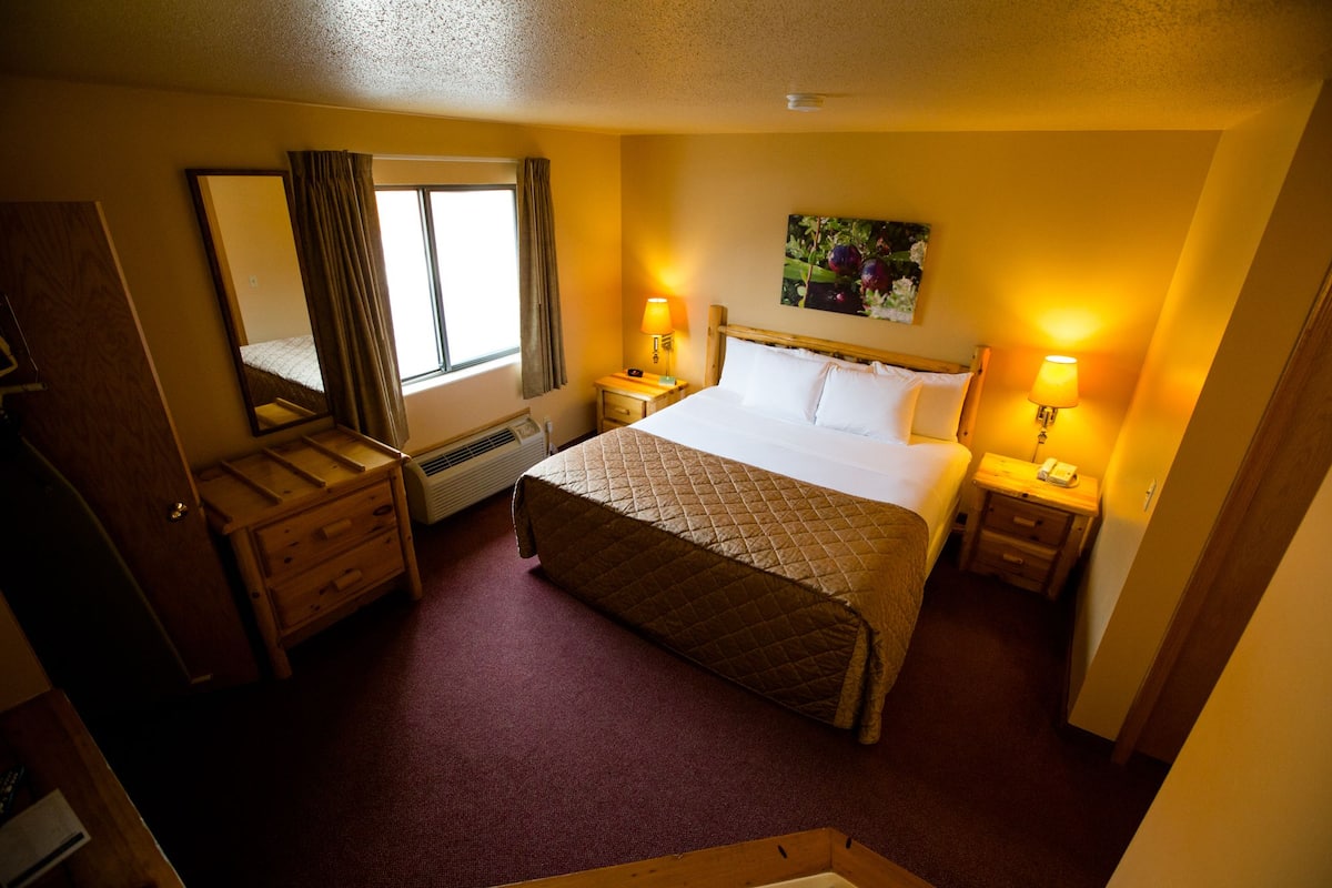 Hotelkamer met een bed, twee nachtkastjes met lampen, een verwarming, een spiegel, een raam met gordijnen en een schilderij aan de muur.