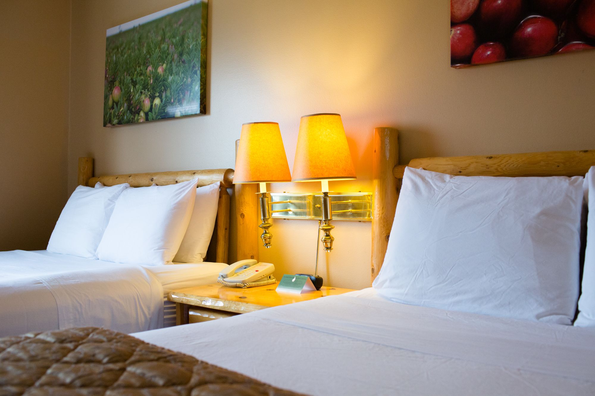 desk, iron/ironing board, cots/infant beds, free wifi