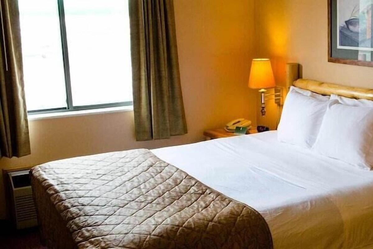 Une chambre d’hôtel avec un lit, une table de chevet, une lampe et une fenêtre avec des rideaux.