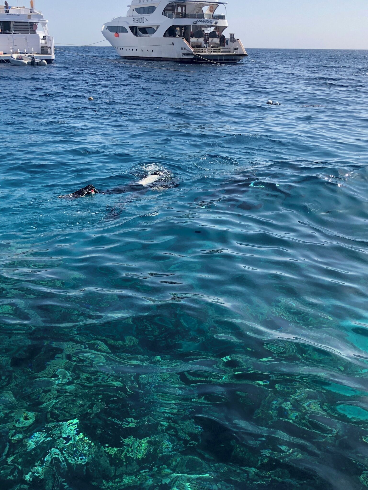 Foto - Umbi Sharks Bay Diving Village