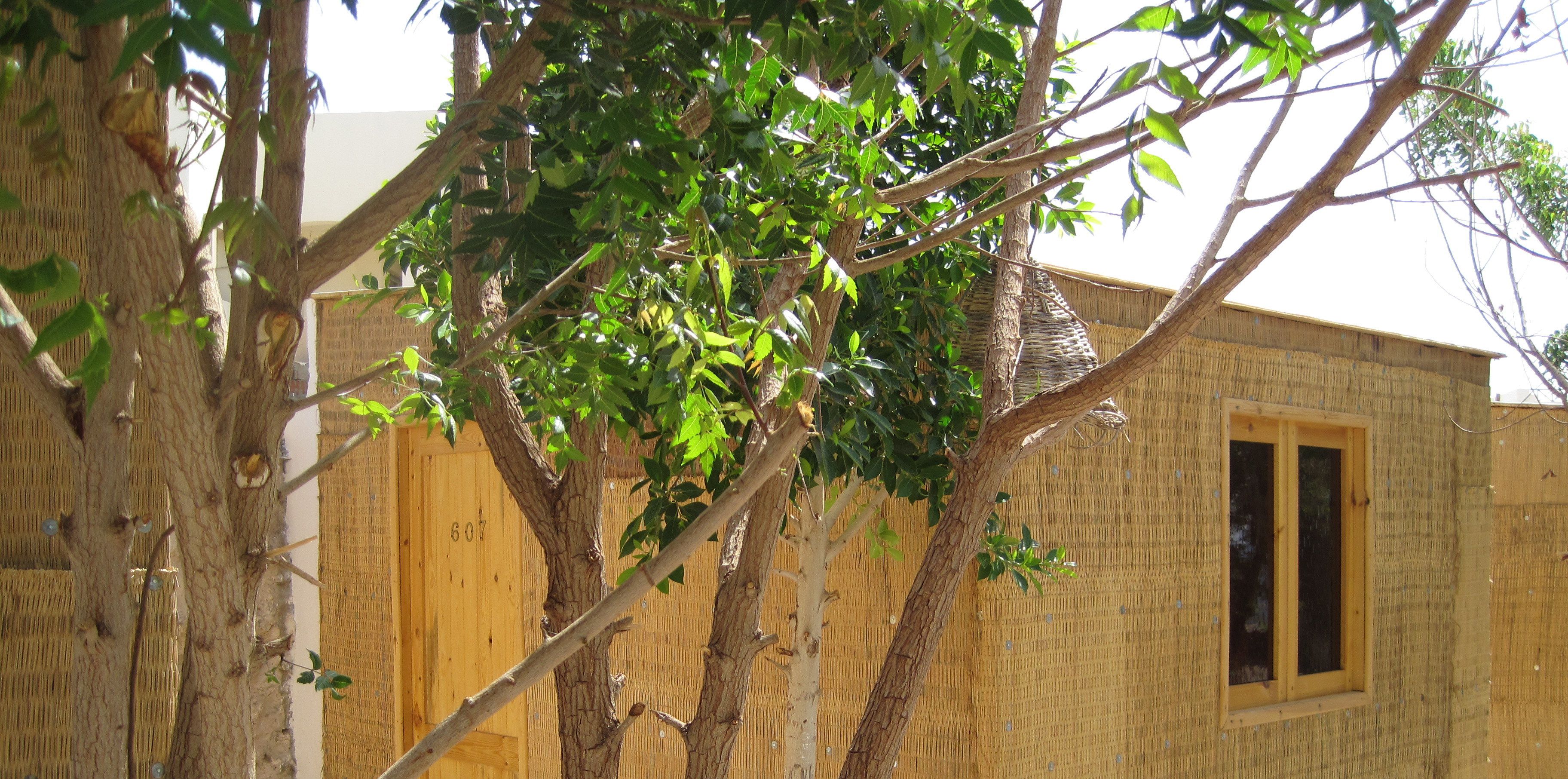 Foto - Umbi Sharks Bay Diving Village