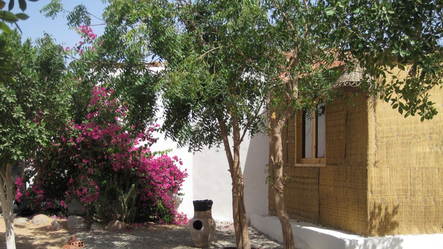 Umbi Sharks Bay Diving Village