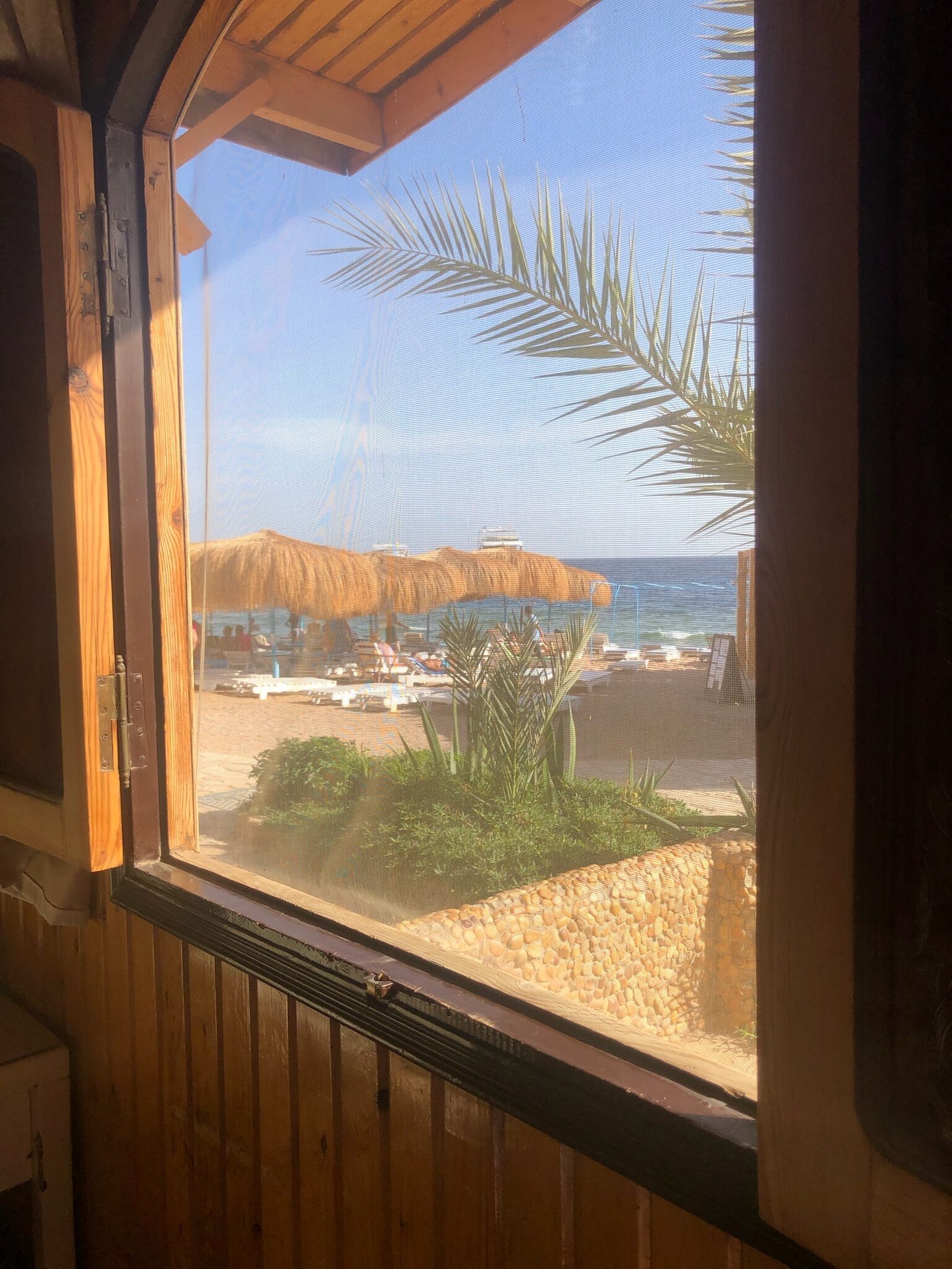 Photo - Umbi Sharks Bay Diving Village