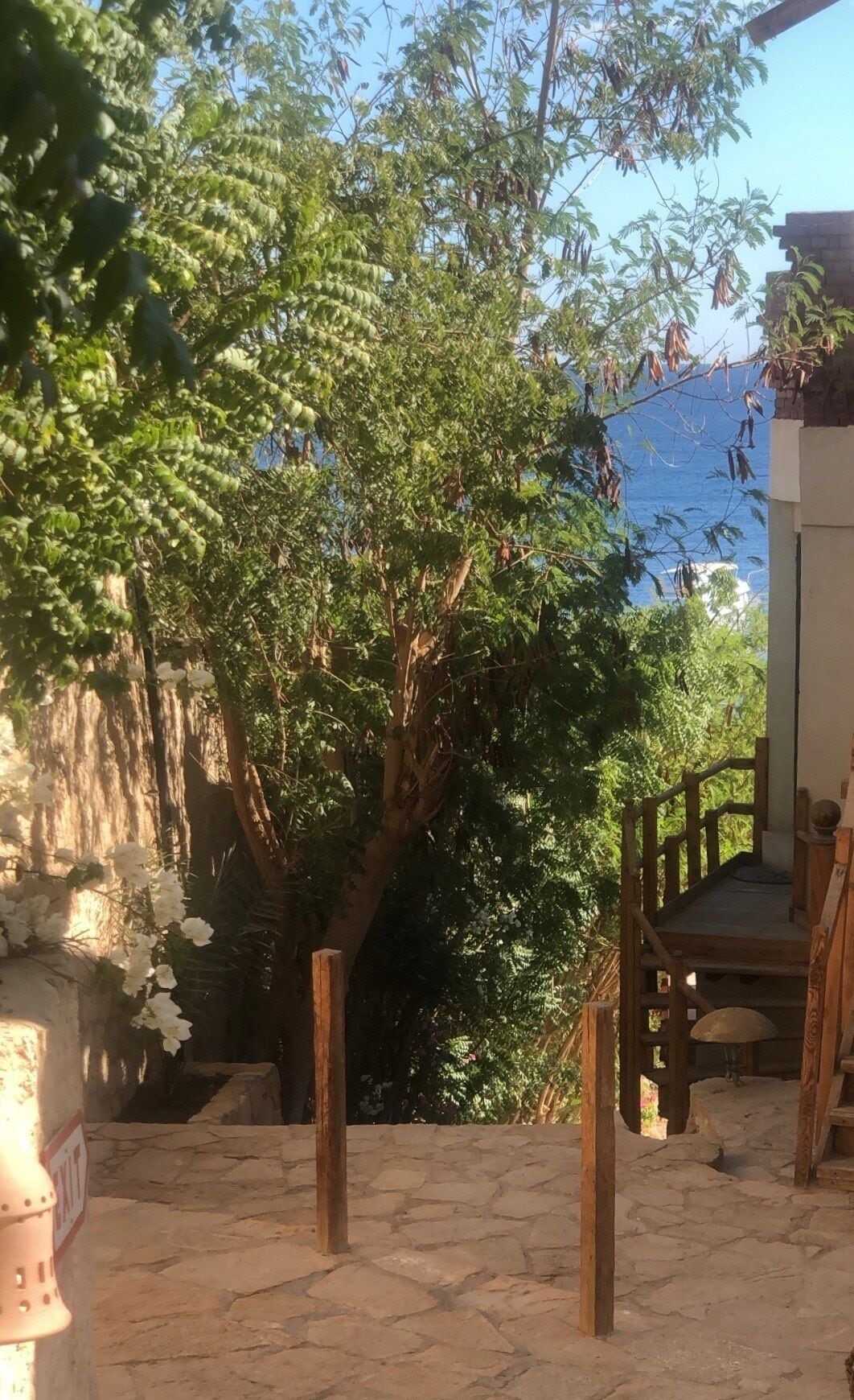 Foto - Umbi Sharks Bay Diving Village