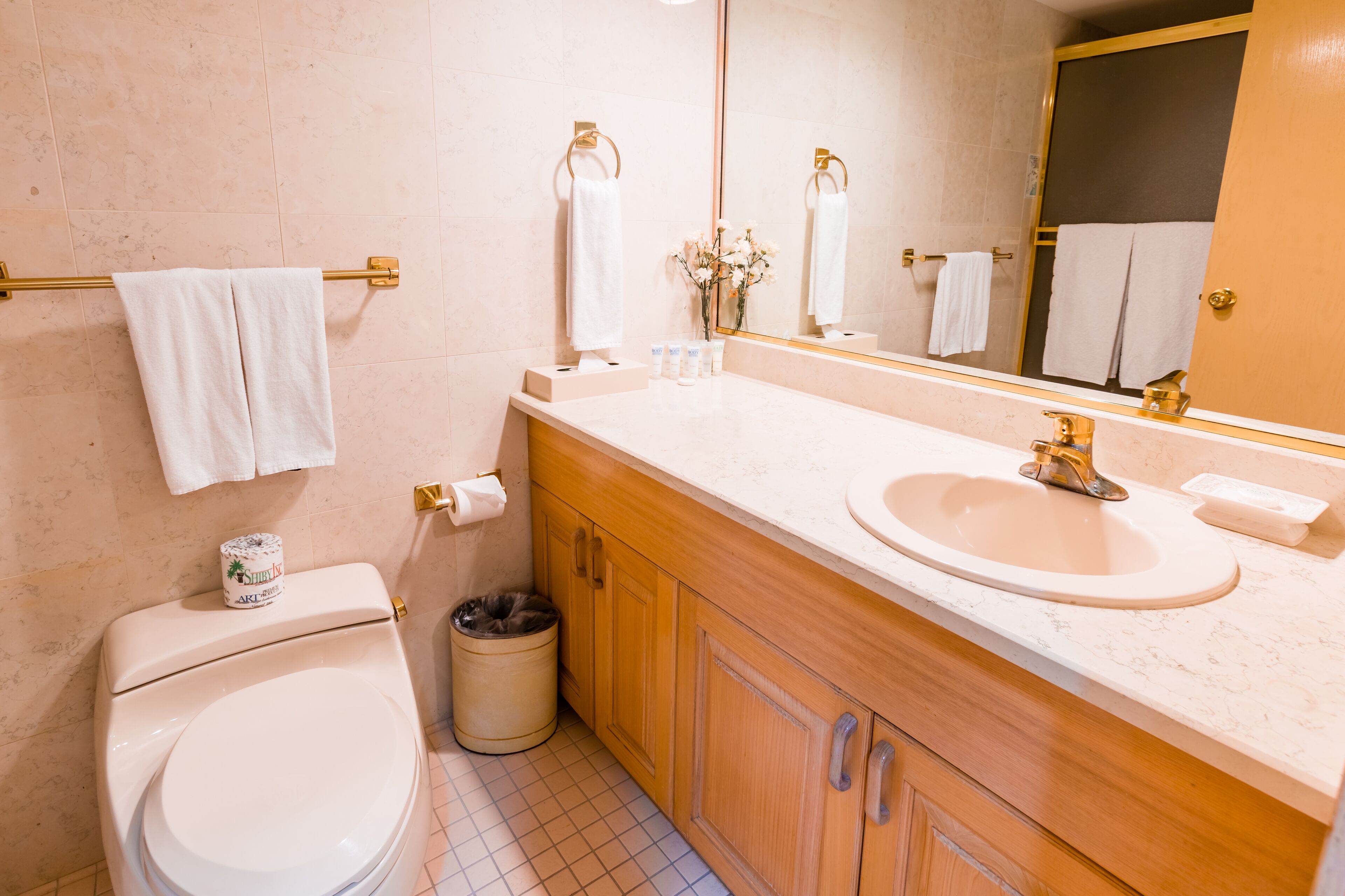 Une salle de bain équipée de toilettes, d’un lavabo, d’un miroir et d’un porte-serviettes.