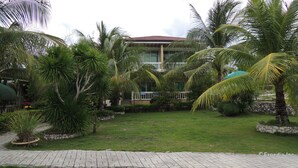 A hotel with a central lawn, surrounded by palm trees and a stone wall. - Moalboal Beach Resort (Moalboal)