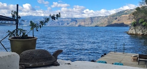 Habitación presidencial, 1 habitación, vista al lago | Sábanas de algodón egipcio, ropa de cama de alta calidad y edredón